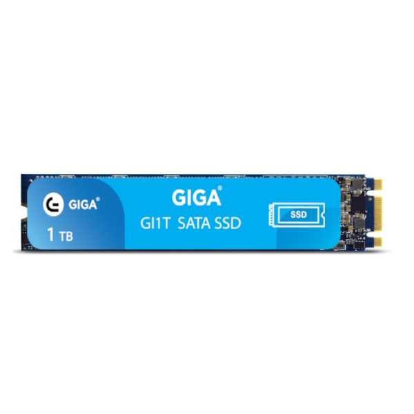 Giga M.2 PCIe 1TB Internal SSD