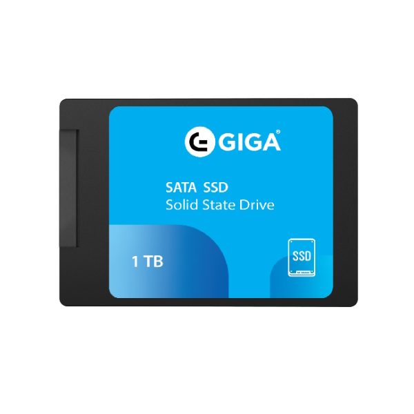 Giga SATA 1TB Internal SSD